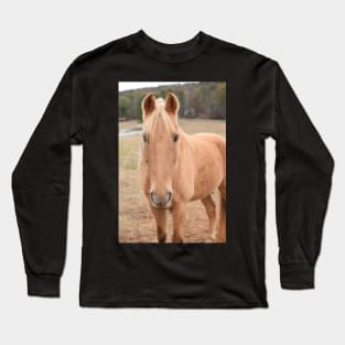 palomino horse in pasture Long Sleeve T-Shirt